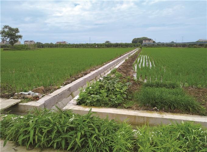 微信圖片_20211029124548.jpg 微信圖片_20211029124548.jpg